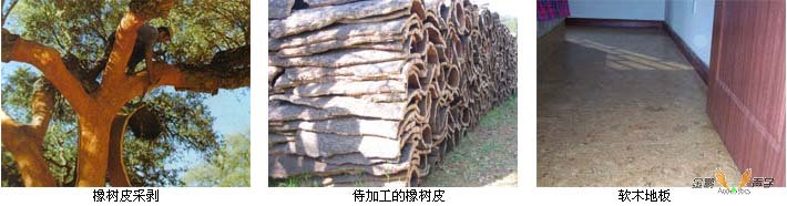 軟木來(lái)源與應(yīng)用